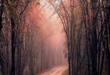 虎扑nba官网：[综合]原广州队队长冯俊彦：近两年广州队运营有示范意义.