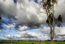 记者:弗里克告诉拉菲尼亚对马竞是巴西惨败阿根廷的复仇之战.