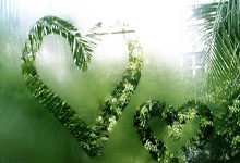 数说真相 | 受伤也罚球再离场!塔图姆本赛季的真实表现究竟如何?.